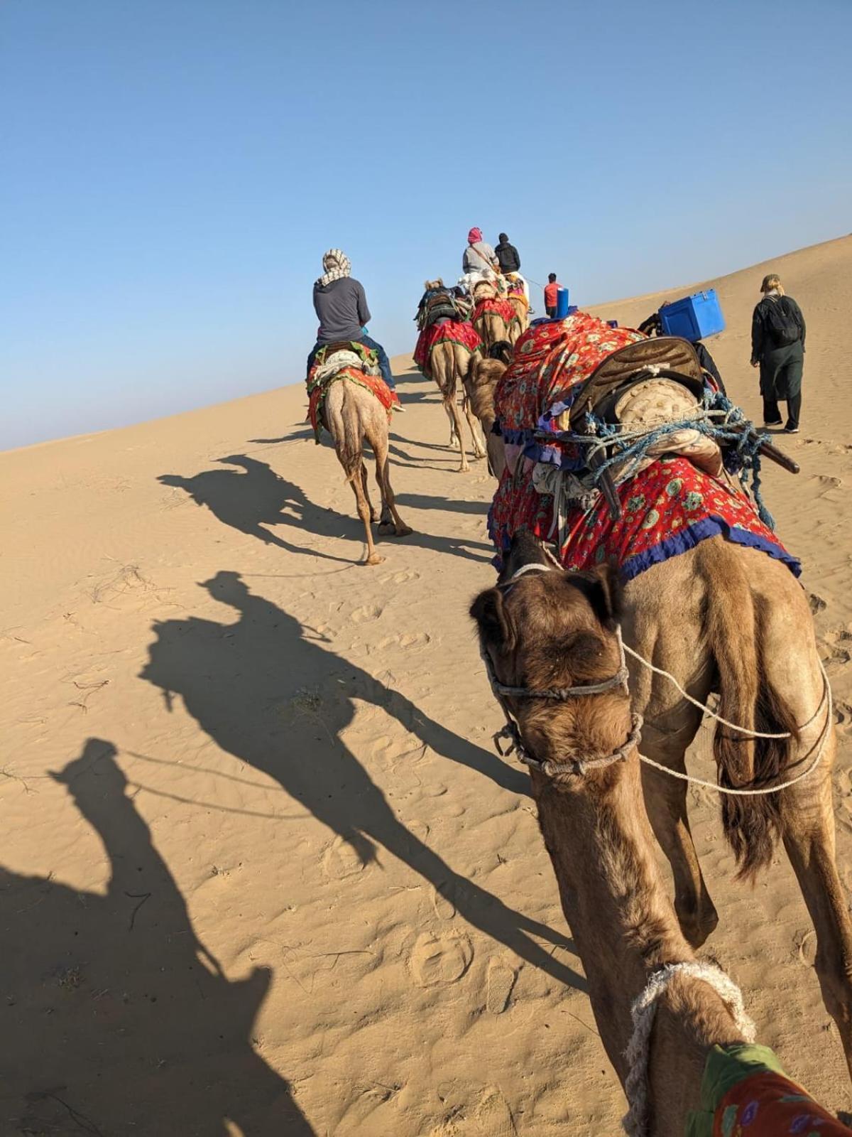 Hostel Marigold Home Stay Jaisalmer Dış mekan fotoğraf